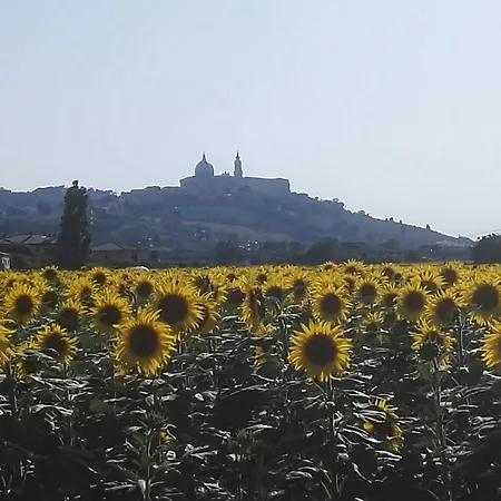 La Casa Dei Girasoli Apartament Castelfidardo