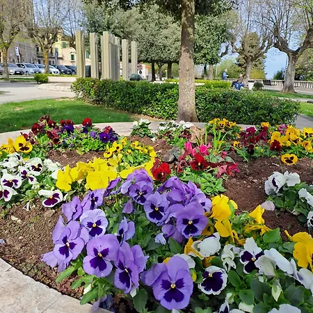 Appartamento La Casa Dei Girasoli *